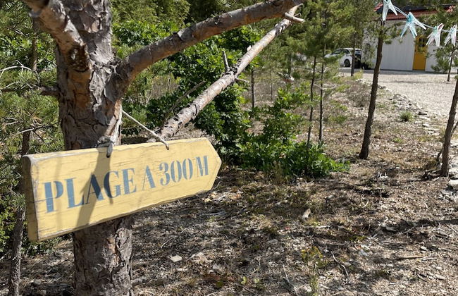 Villa Vitvikena in Gotland, Pool - Foto 27