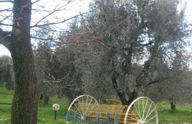 Agriturismo Casa Fibbianello - Foto 67