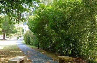 Maison Bourgeoise de caractère - Foto 29