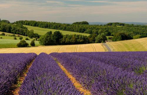 Converted Cotswold Barn in Chedworth - Tranquil Escape, Sleeps 4 - Foto 21