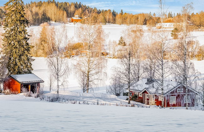 Peltosirkku - Photo 23