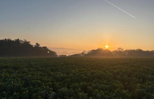 Little Vine Cottage in the grounds of Leeds Castle - Foto 40