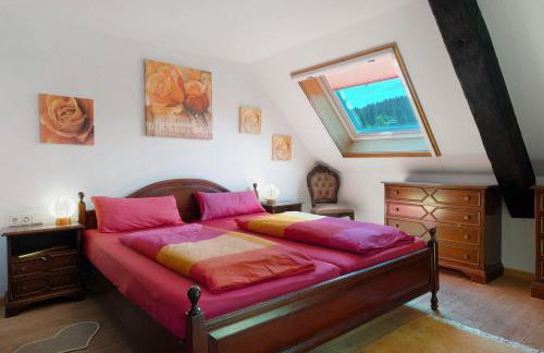 Grundhäusle Gütenbach - Foto 12