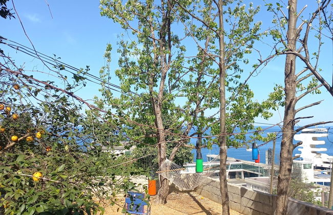 Sarp bungalov - Photo 8