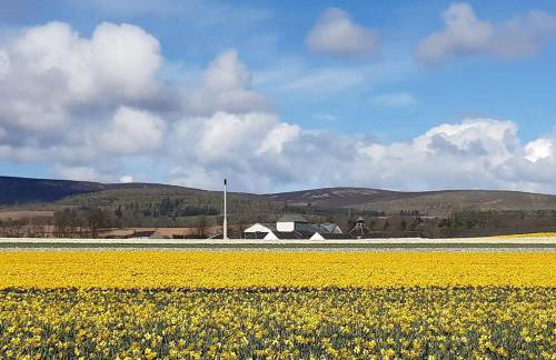 The Burnside Apartment - Foto 24