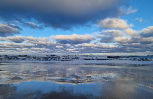 Wydmy Wiatr - Foto 31