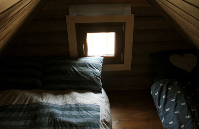 Dalia Barama - Photo 4