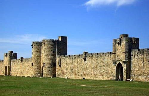 Gîte de vacances en Camargue ☆☆NN - Photo 22