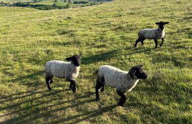 The Green Hayloft, Lakes & Dales - Photo 36