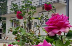 PLOMIN SKY&BAY - Foto 80