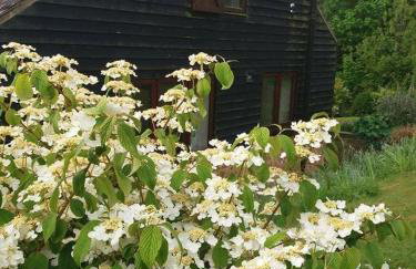 The Retreat - Foto 22