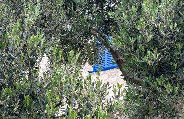 Fig Tree Apartment - Foto 30