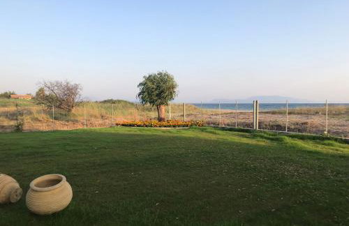 Aster Beach House - Foto 14