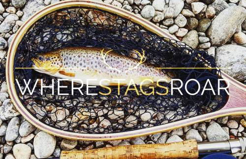 Baltinna East - by Where Stags Roar - Foto 29