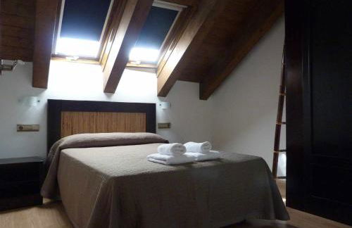 Apartamentos Puerta de Ordesa - Photo 55