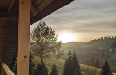 Schwarzwald Chalet Matti in Todtnauberg - Foto 59