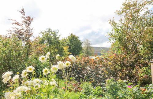 3 Tindale Terrace - Foto 32