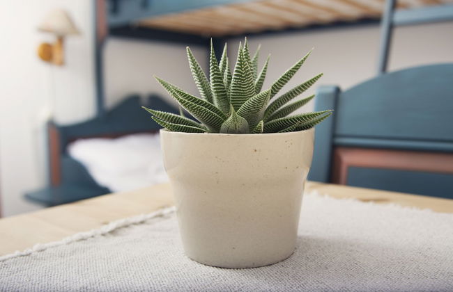 Rondaplassen - Foto 3