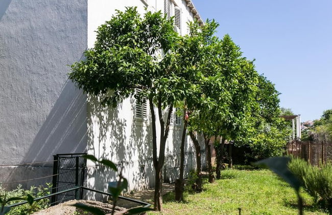 Apartment Blue & Green - Foto 25