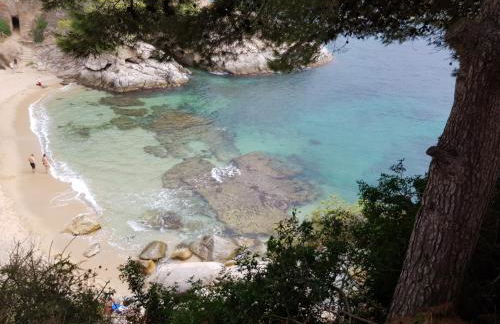 villa aranda - Photo 78