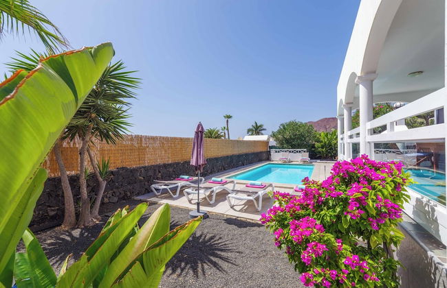 Mendi Gorri - Foto 18