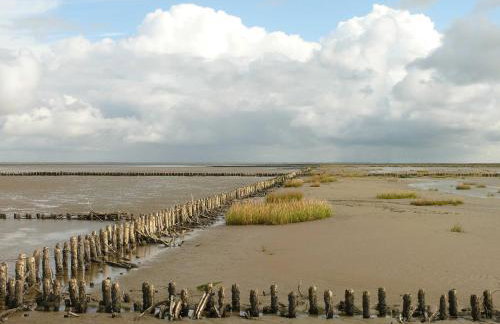 Ferienhaus Klookris 15 - Foto 9