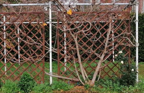 Agriturismo Susanna e Atria - Foto 47