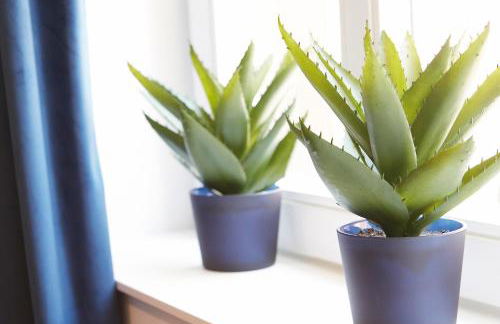 Niederhut-Residenz - Foto 79