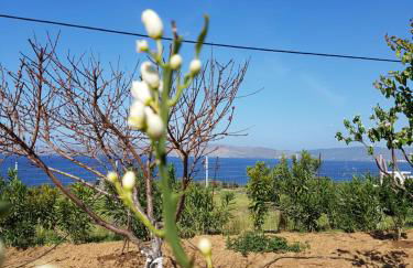 Hand Crafted with sea View - Foto 32