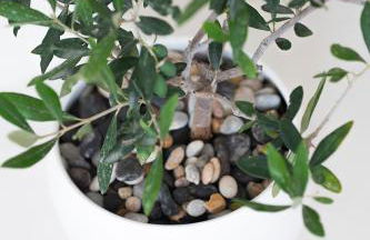 Pueblo viejo boutique house - Foto 50