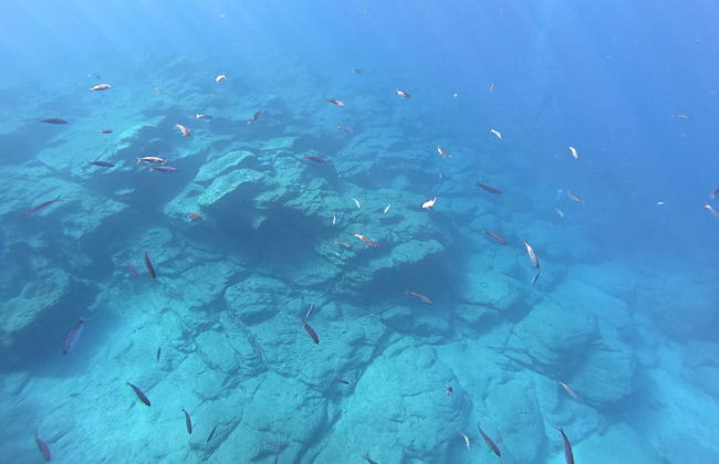 Snorkel na Costa Adeje - Foto 3