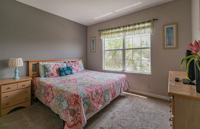 Terra_verde_137 - Foto 5