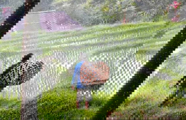 Villa OMantra Home Bali - Foto 35