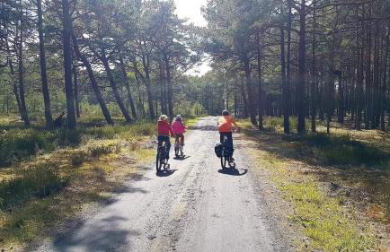 Zielony Domek z jacuzzi - Foto 51