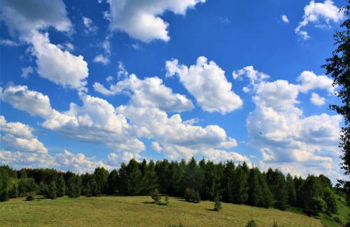 Agroturystyka Szafarnia 19 - Foto 22