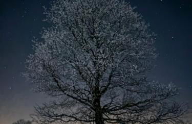 Haus Brockenblick - Foto 37