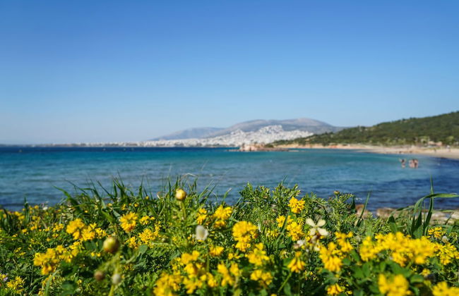 Secret Aktis by BluPine - Foto 27