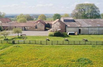 Osprey Meadow Holiday Cottages - Foto 20
