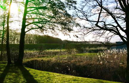 Am Horumertief - Foto 26