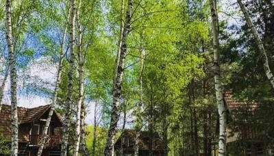 Wędkarska Agroturystyka - Foto 5