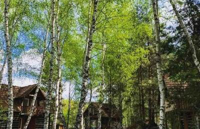 Wędkarska Agroturystyka - Foto 5