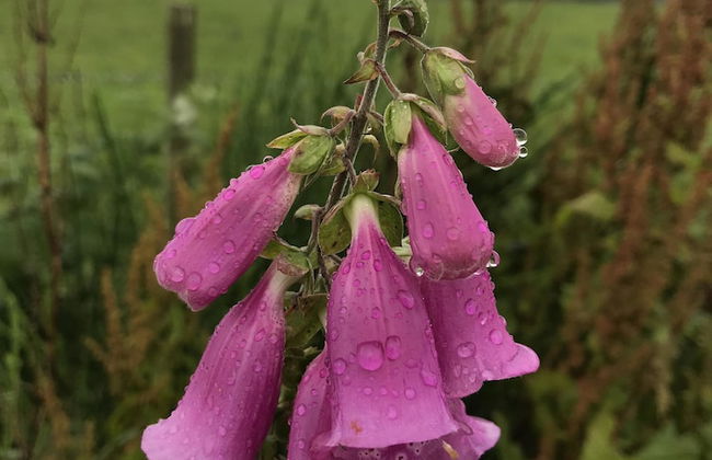 Hillside Havens - Foto 48