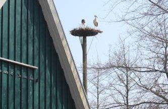 Erlenhof-Steinau-Fachwerkhaus-mit-Reetdach - Foto 25