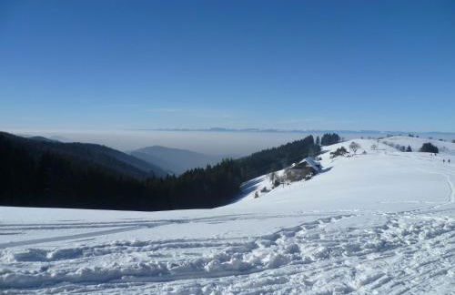 Les Iris Blancs - Foto 11