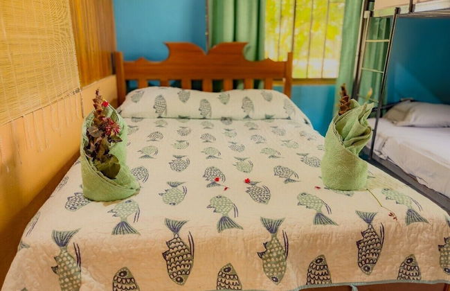 Pura Natura Lodge - Foto 63