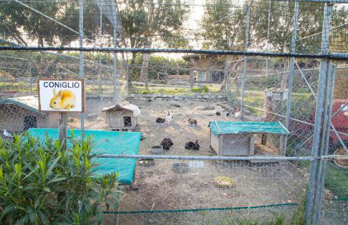 Agriturismo Fassi - Foto 52