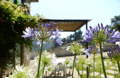 Casa dos Becos - Foto 37