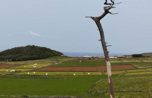 Casa da Tia Avelina - Photo 25