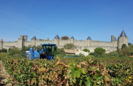 Domaine Fontgrande Gîte - Photo 41