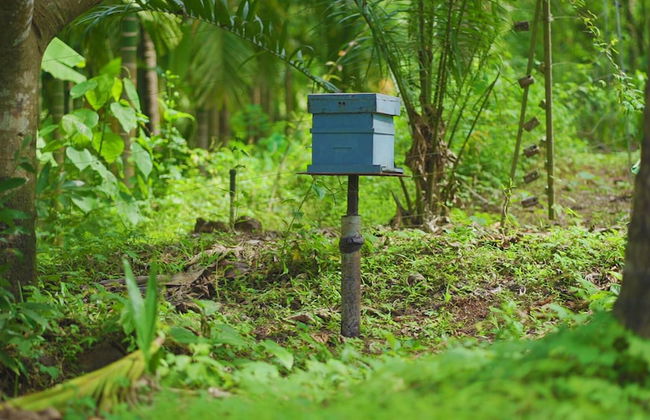 Indira Farms - Foto 29